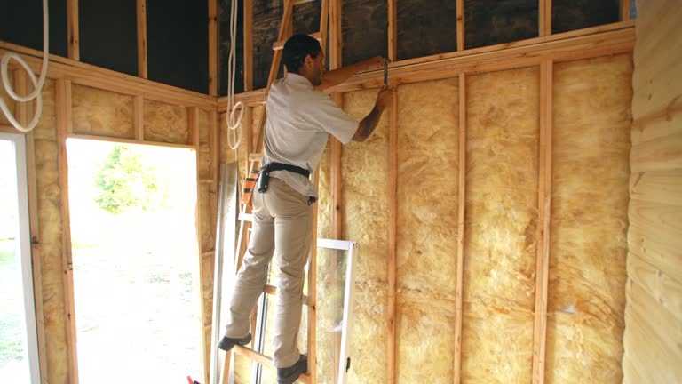 Best Insulation Air Sealing  in Clayton, NC